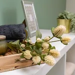 Haus Mit Garten Zwischen Braunschweig Und Wolfsburg Schandelah
