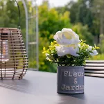 Haus Mit Garten Zwischen Braunschweig Und Wolfsburg